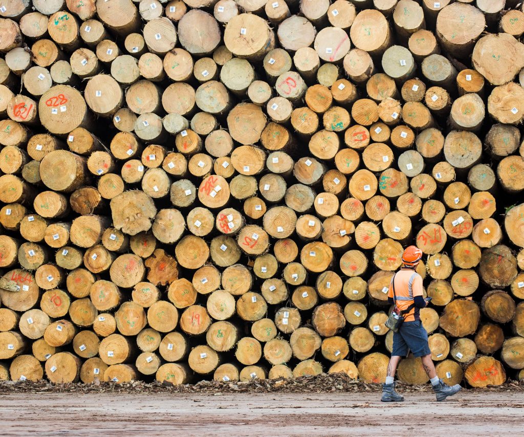 Upper log yard Eastland Port