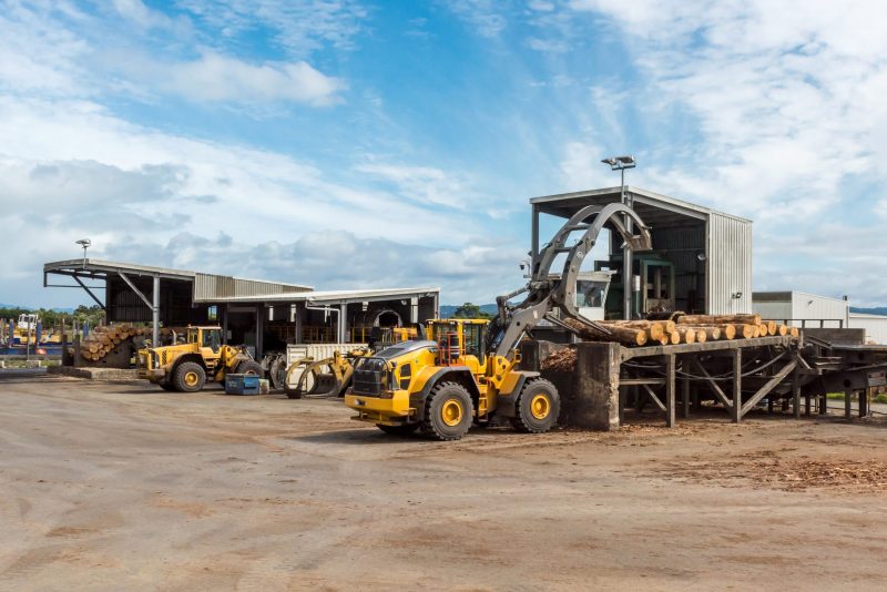 Celebrating a Decade of Northland Debarking